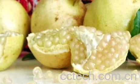 白色酸石榴子可以吃吗 白色的酸石榴皮的功效-0