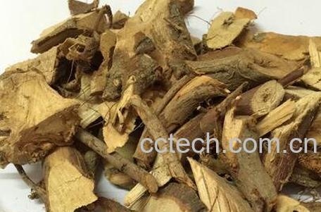 白石榴根泡酒的功效-0