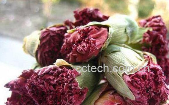 康乃馨花茶的功效与作用-1