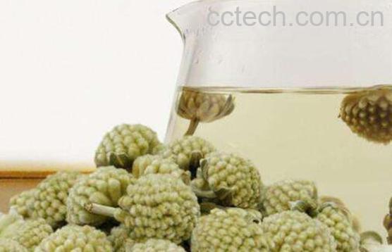 绿萝花茶的功效与作用-0