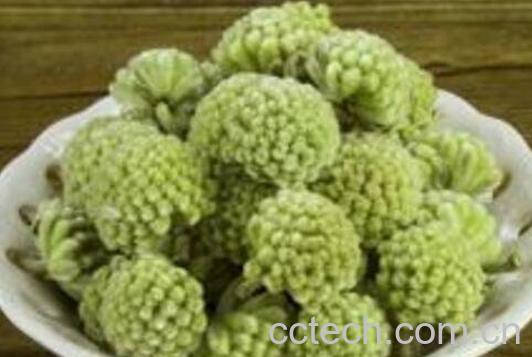 绿萝花茶的功效与作用-1