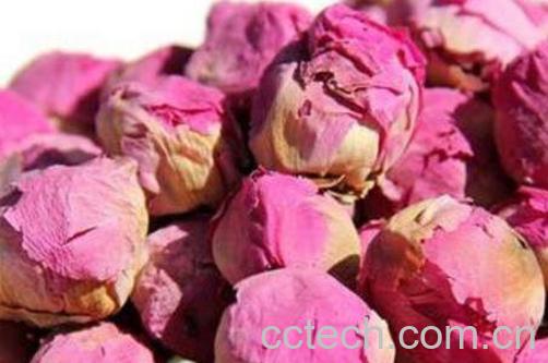 芍药花茶的功效与作用及冲泡方法-0