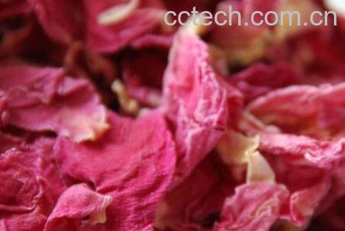 芍药花茶的功效与作用及冲泡方法-1