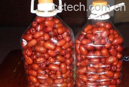  醉枣的功效和好处-1