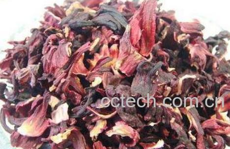芙蓉花茶的功效与作用-0