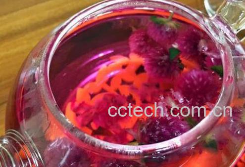 千日红花茶的功效与作用-0