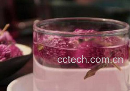 千日红花茶的功效与作用-1