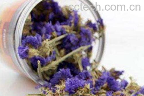 勿忘我花茶的功效与作用 勿忘我花茶的搭配方法-0