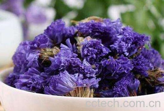 勿忘我花茶的功效与作用 勿忘我花茶的搭配方法-1