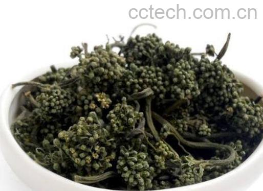 参花茶的功效与作用-1