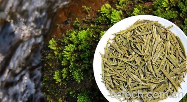 黄茶的营养价值-1