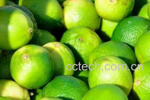 酸橙皮的功效与作用-0