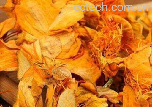 金莲花茶的功效与作用-1