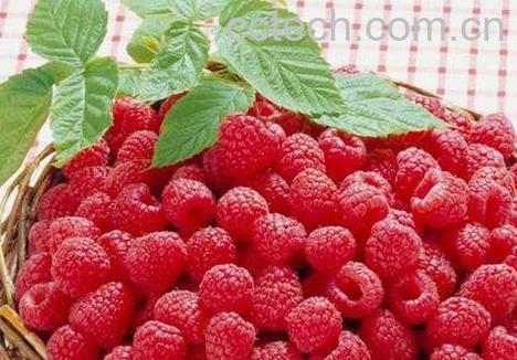 红树梅和覆盆子的区别-1