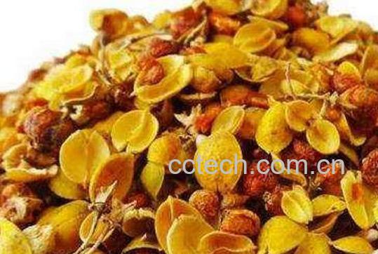  合欢花茶的功效与作用有哪些-0