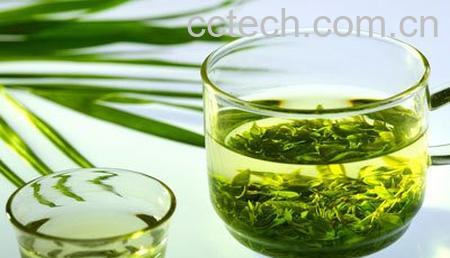 绿茶营养价值-0