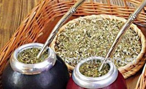 马黛茶的功效与作用 马黛茶不适合什么人喝-1