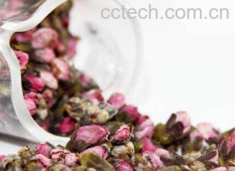 桃花茶的功效与作用 喝桃花茶的好处-1