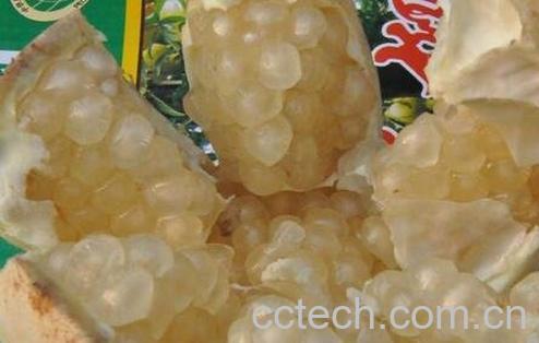 白石榴作用及食用方法-0