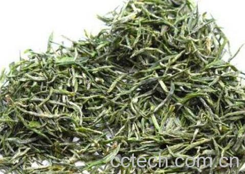 车云山毛尖的特点和功效-1
