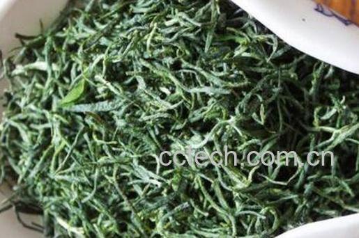 常喝信阳毛尖好吗 常喝信阳毛尖的坏处-0