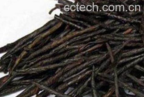 苦丁茶的功效与作用及禁忌-1