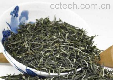 陈茶毛尖可以喝嘛 陈茶毛尖怎么泡好-1