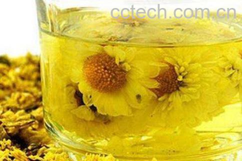 孕妇能喝菊花茶吗 孕妇喝菊花茶的好处和坏处-1