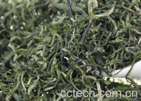 恩施毛尖的功效与作用-0