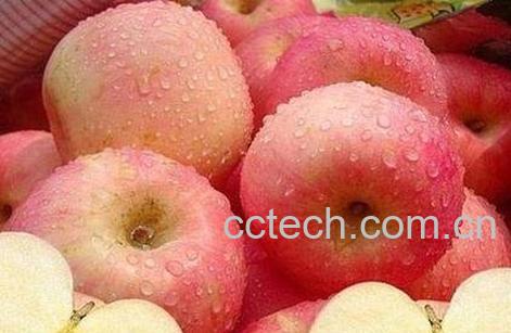 林檎果的功效与作用-0