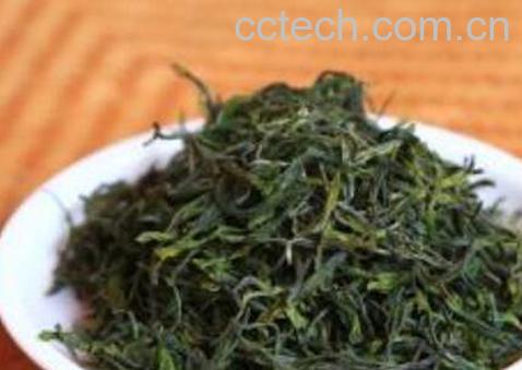 恩施毛尖的功效与作用-1