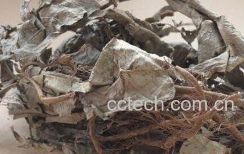  玉兰花茶的制作方法 玉兰花茶的泡法-0