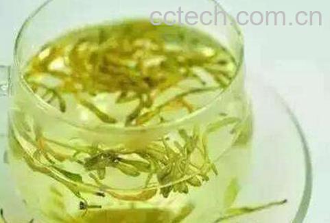金银花茶的功效与作用及禁忌-0