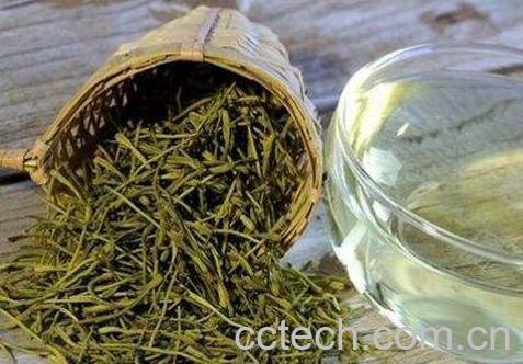 金银花茶的功效与作用及禁忌-1