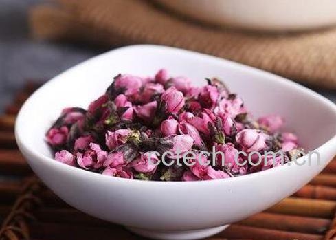 桃花茶可以经常喝吗 桃花茶的正确喝法-0