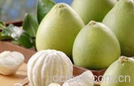 酸柚的功效与作用-1