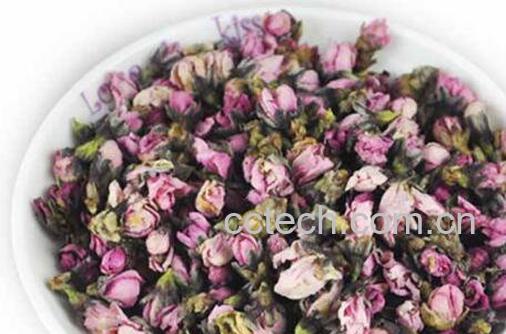喝桃花茶能减肥吗 干桃花泡水一天喝几次-1