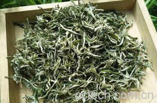 茶叶毛尖如何做 茶叶毛尖的制作方法-1