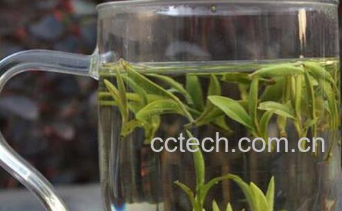 春茶毛尖的功效与作用-1