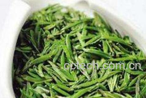 春茶毛尖的功效与作用-0