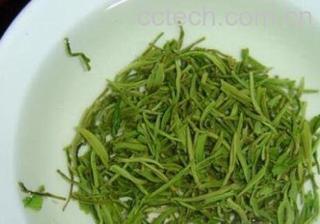 大悟毛尖什么时候成熟 大悟雨前毛尖的泡法-0