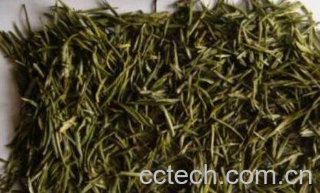 干毛尖的功效与作用-0