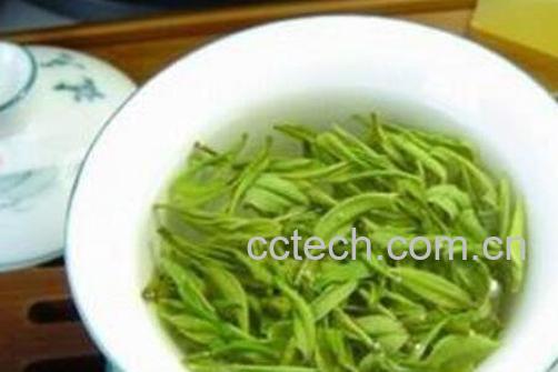 南京雨花茶怎么泡 南京雨花茶冲泡方法-0