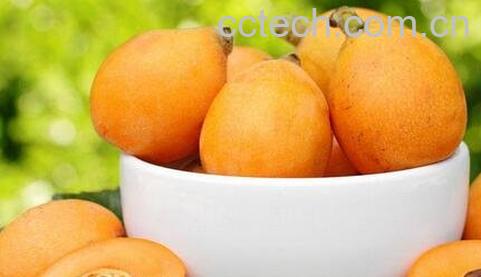 枇杷的保存方法 枇杷的保鲜方法-0