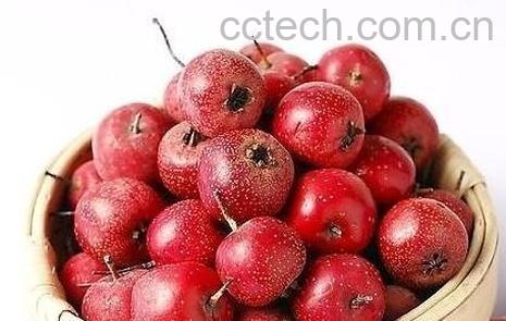 白果山楂的功效-1