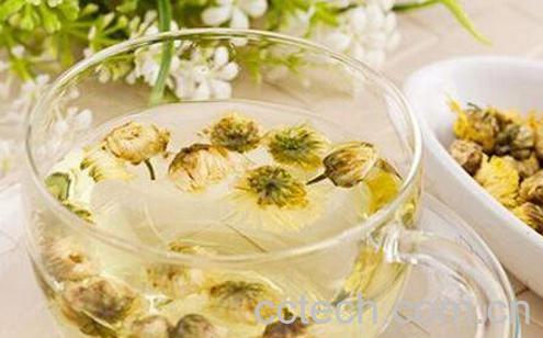 菊花茶的功效与作用 菊花茶的食用禁忌-1