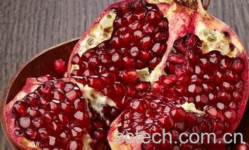 中草药田石榴的功效-0