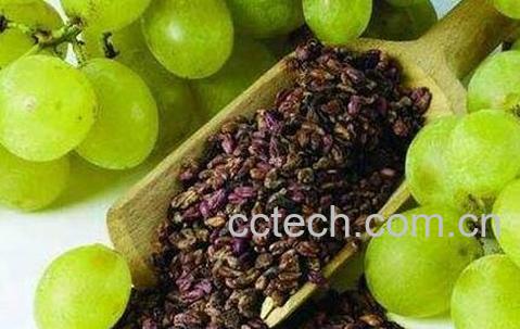 葡萄的功效与作用 葡萄的药用价值-1