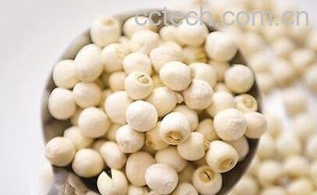 莲子的功效与作用 莲子的药用价值-1