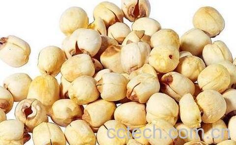 莲子的功效与作用 莲子的药用价值-0